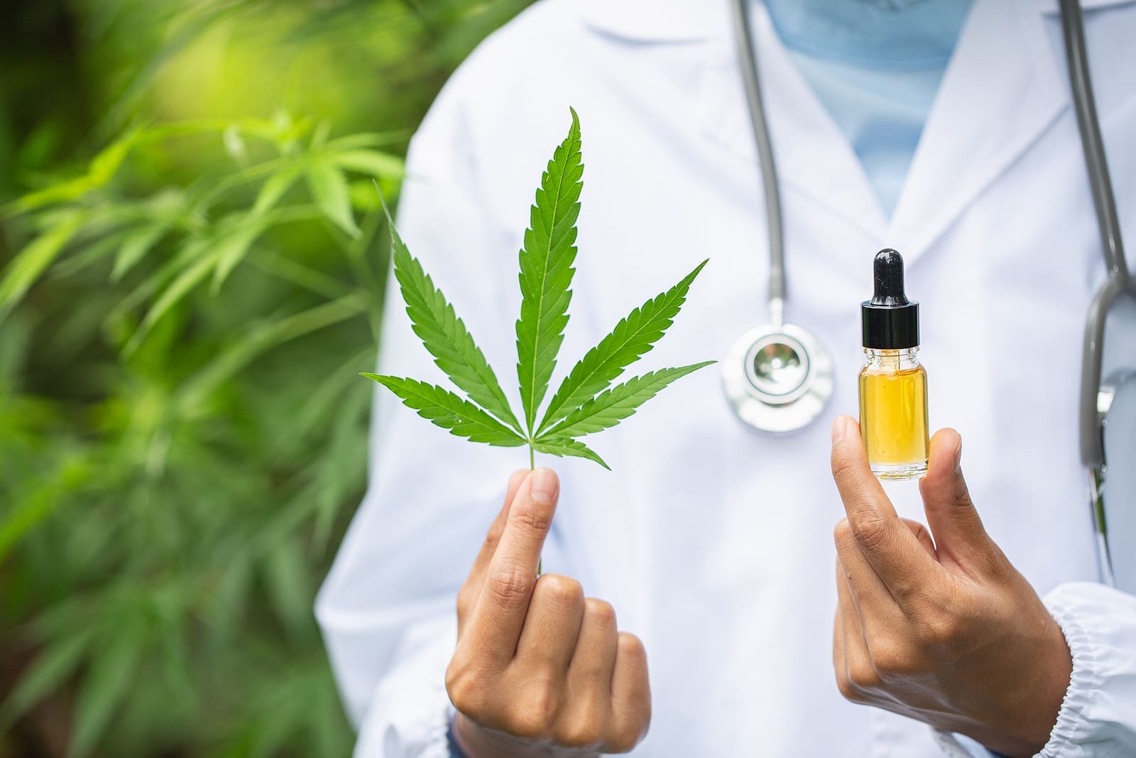 Kratom vs CBD: Differences and Benefits