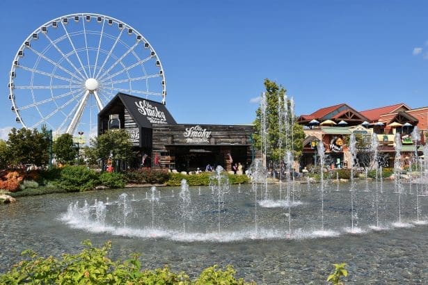 How Local Culture and Quirky Attractions Shape Memorable Vacations