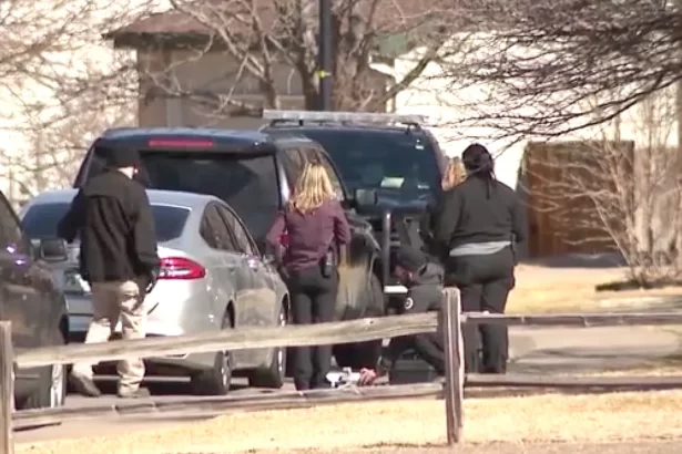 11 year old faces first degree murder charge 03