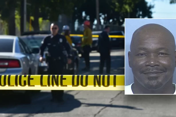 darryl collins los angeles