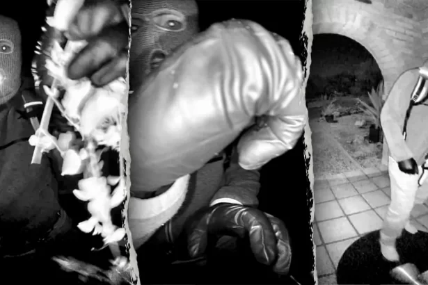 guthrie alleged suspect grabs